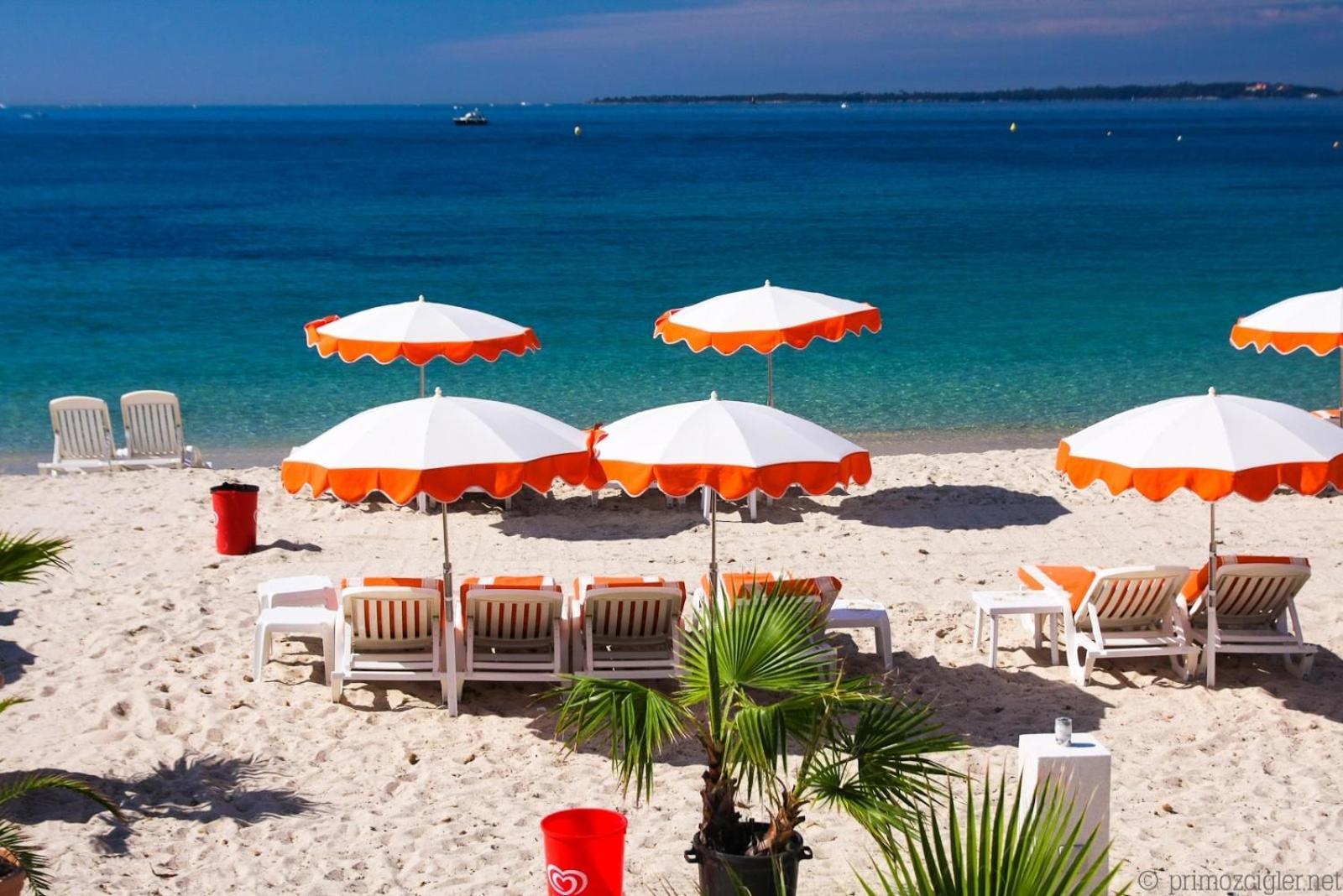 Flore Juan-les-Pins Dış mekan fotoğraf